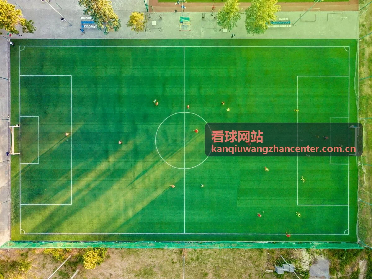看球网站 - 转会市场最新动态